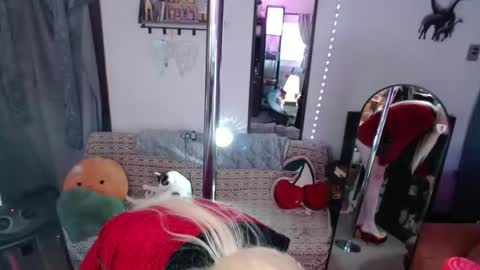 Snapshot of halovalentine chatting on 28, 2, 2026 halovalentine online show from 28, 2, 2026