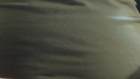 Snapshot of hamhead71 chatting on 23, 1, 2025 hamhead71 online show from 23, 1, 2025