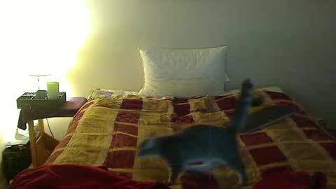 Snapshot of hammerthatthang73 chatting on 3, 11, 2025 hammerthatthang73 online show from 3, 11, 2025