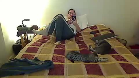 Snapshot of hammerthatthang73 chatting on 19, 11, 2025 hammerthatthang73 online show from 19, 11, 2025