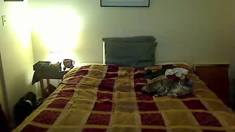 Snapshot of hammerthatthang73 chatting on 4, 4, 2026 hammerthatthang73 online show from 4, 4, 2026