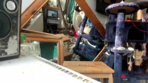 Snapshot of handncocknocum chatting on 9, 3, 2025 handncocknocum online show from 9, 3, 2025