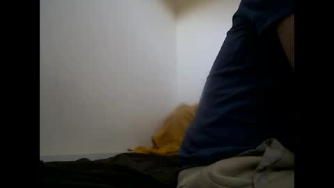 Snapshot of handsomepenis20cm chatting on 29, 4, 2026 handsomepenis20cm online show from 29, 4, 2026