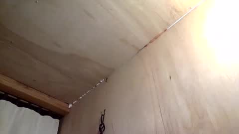 Snapshot of handywoody chatting on 1, 2, 2026 handywoody online show from 1, 2, 2026