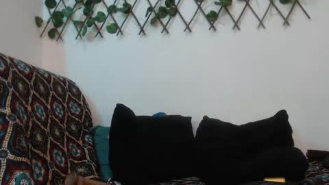 SARA  online show from 12, 1, 2025