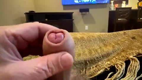 happygerman68 online show from 24, 10, 2025