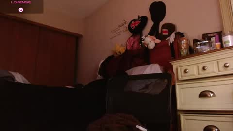 Snapshot of happysoft chatting on 23, 12, 2025 meatwad online show from 23, 12, 2025