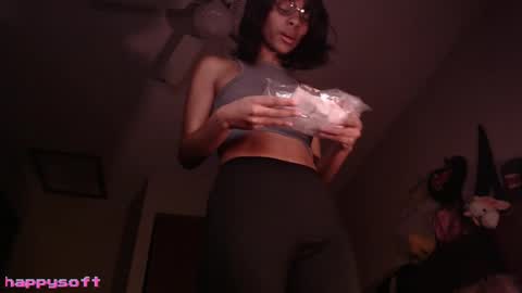 Snapshot of happysoft chatting on 17, 1, 2026 meatwad online show from 17, 1, 2026