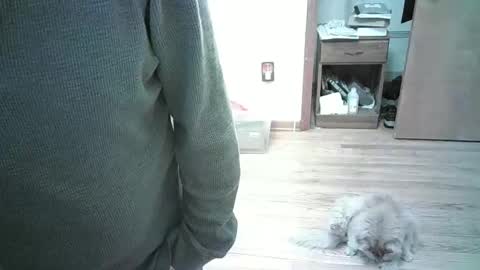 Hardy-Har online show from 3, 1, 2025