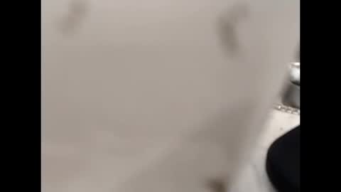 hardandhorny422 online show from 12, 10, 2025