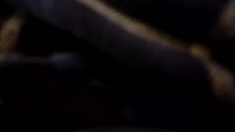 hardandhorny422 online show from 9, 5, 2026