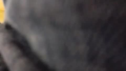hardandhorny422 online show from 10, 5, 2026