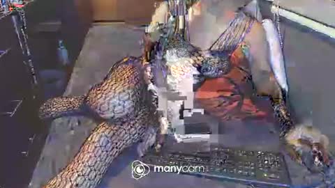 Snapshot of hardfucking_mistress chatting on 3, 3, 2025 Irina online show from 3, 3, 2025