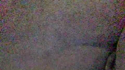 Micheal online show from 8, 6, 2026