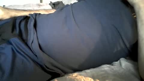 Snapshot of hardnick696 chatting on 19, 2, 2025 hardnick696 online show from 19, 2, 2025
