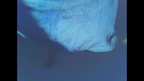 Snapshot of hardning chatting on 28, 12, 2024 hardning online show from 28, 12, 2024