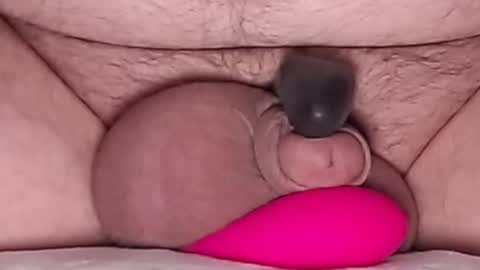 Snapshot of harfang23 chatting on 13, 2, 2026 Paul online show from 13, 2, 2026