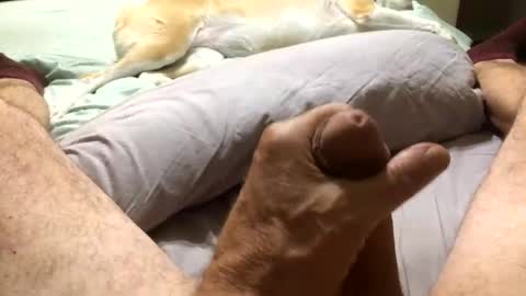 Snapshot of harleycpl chatting on 11, 11, 2025 Harley99 online show from 11, 11, 2025