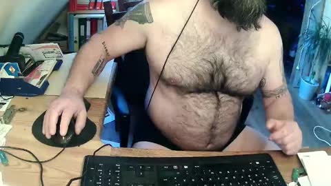 Snapshot of harleywerner chatting on 5, 3, 2026 harleywerner online show from 5, 3, 2026