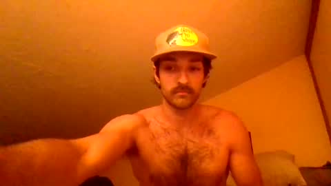 harrycheeks online show from 29, 6, 2026