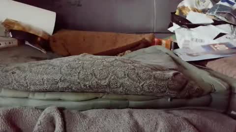 hartl1112 online show from 4, 12, 2025