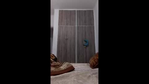 hassane12 online show from 2, 4, 2026