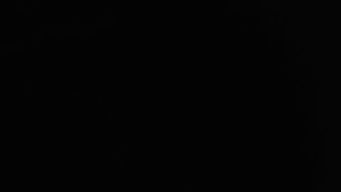 Nicole online show from 20, 12, 2024