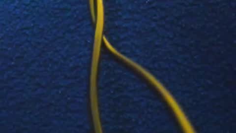 Snapshot of hathor_01_ chatting on 5, 3, 2025 andres online show from 5, 3, 2025