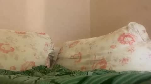 dee online show from 27, 1, 2025