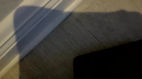 haufd online show from 19, 1, 2026