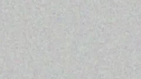 Havanah Johnson online show from 19, 4, 2026