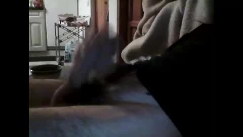 havier282874 online show from 15, 4, 2026