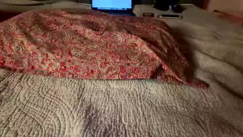 Amber  -   or vip  online show from 8, 3, 2026