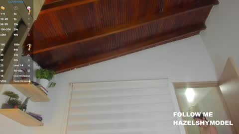 Snapshot of hazel_shy chatting on 10, 12, 2024 Im Hazel online show from 10, 12, 2024