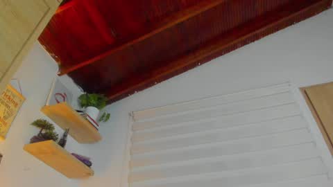 Snapshot of hazel_shy chatting on 8, 1, 2025 Im Hazel online show from 8, 1, 2025