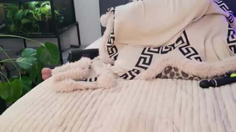 Hazeleo online show from 13, 3, 2026