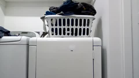 Snapshot of hdrsh08 chatting on 15, 4, 2026 hdrsh08 online show from 15, 4, 2026