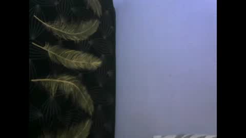 Snapshot of healyn chatting on 27, 1, 2025 healyn online show from 27, 1, 2025