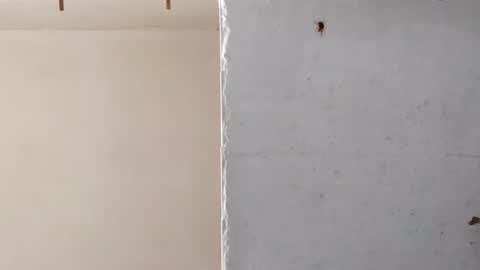 heaven_07 online show from 16, 3, 2026