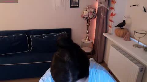 Heaven girl online show from 2, 11, 2025