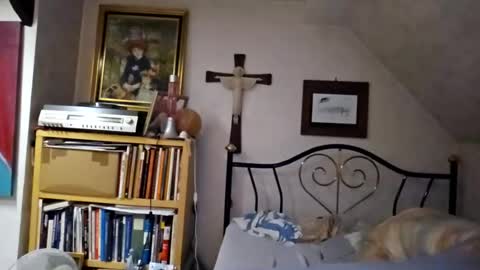 Ralf online show from 20, 7, 2026
