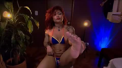 Heidi  online show from 4, 7, 2026