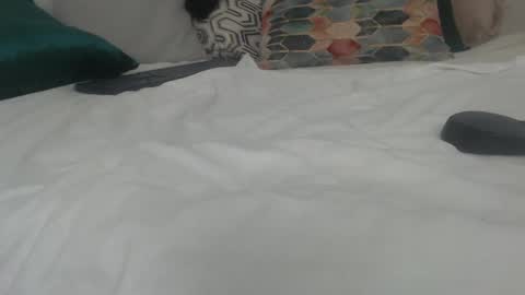 Snapshot of heidy_hoiss chatting on 12, 1, 2025 Heidy online show from 12, 1, 2025