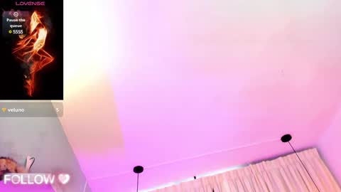              online show from 12, 2, 2025