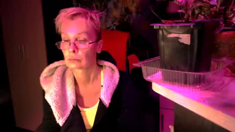 Helga online show from 6, 7, 2026