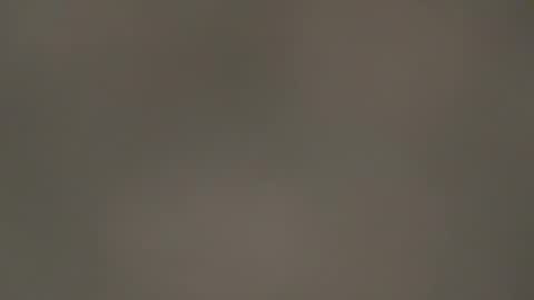 Snapshot of hellohowareyou66 chatting on 13, 3, 2026 hellohowareyou66 online show from 13, 3, 2026