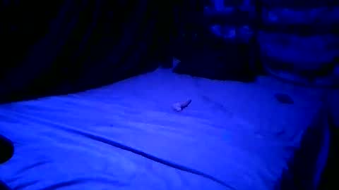 Snapshot of hellsxxsissy chatting on 23, 4, 2026 SissyNutsBustedCounter online show from 23, 4, 2026