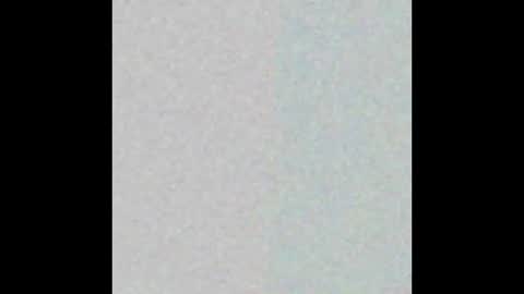 salem online show from 25, 2, 2026