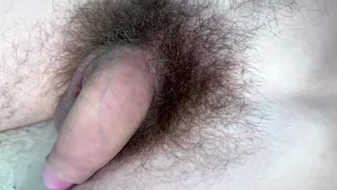 Snapshot of hey_arnold chatting on 29, 1, 2025 Arnold online show from 29, 1, 2025