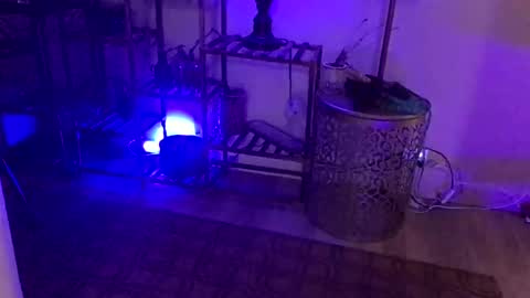 FlexieFae online show from 3, 1, 2025